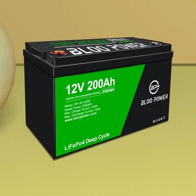 Bloopower 12 24 48 volts Li-ion Li Ion Cell Batteries Pack pour système d'énergie éolienne Solaire Réverbère LED Éclairage Batterie au lithium